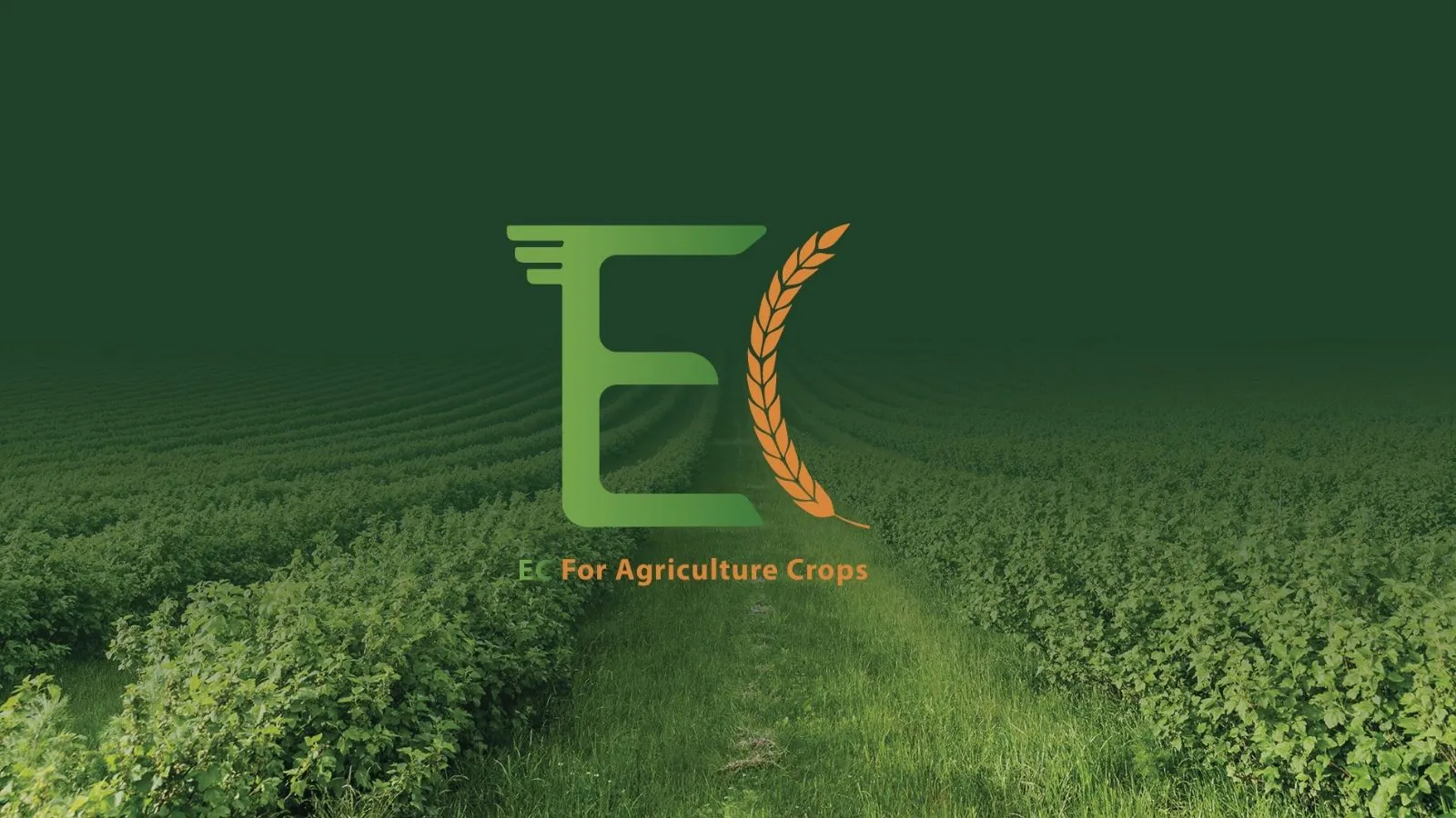 EC Agriculture، لقطة 1