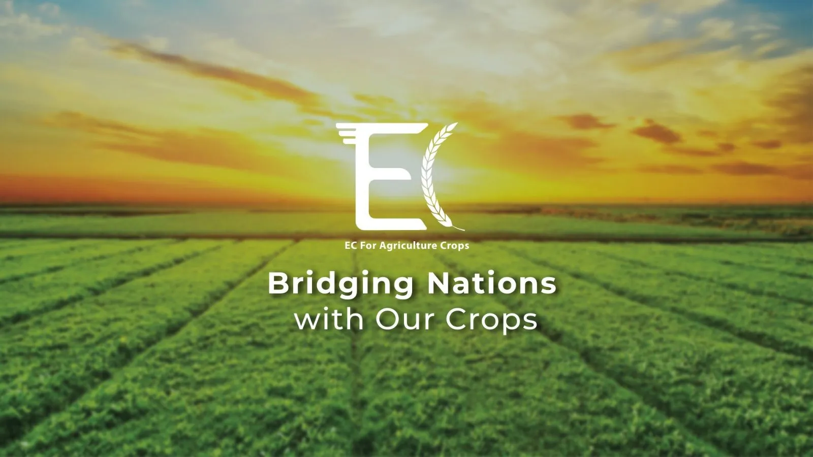 EC Agriculture، لقطة 6